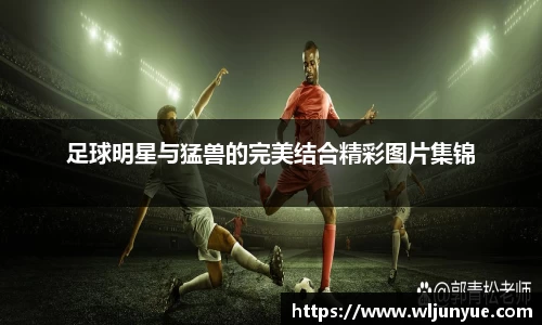 beat365中国在线体育平台